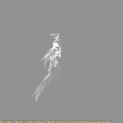 ridack_work_ridack_negativemagic_wing