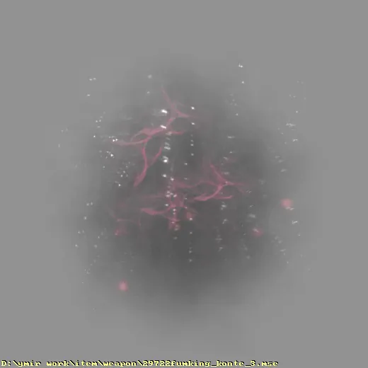weapon_29722fumking_konte_3