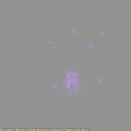 weapon_clopot_imperial