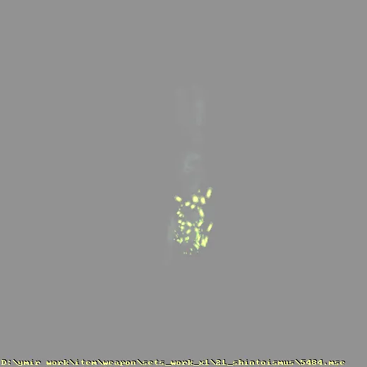 weapon_sets_work_x1_21_shintoismus_5484