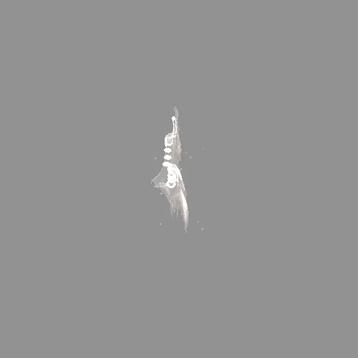 12_w_black