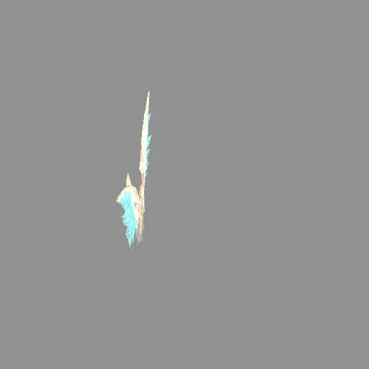 15random_wing21_wing21