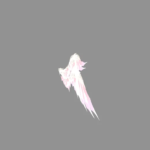 15random_wing23_wing23