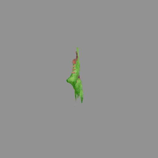 4feather_feather_green