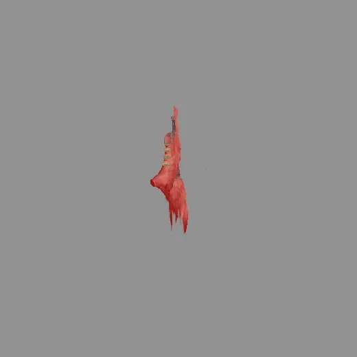 4feather_feather_rot