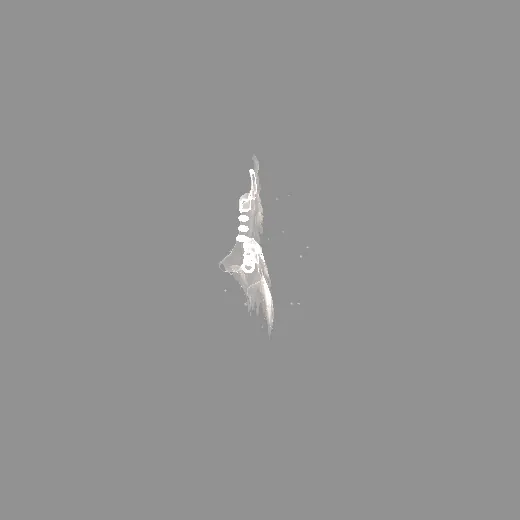 4feather_feather_schwarz