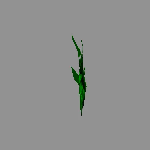 6royal_royal_albino5