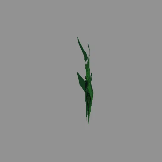 6royal_royal_green