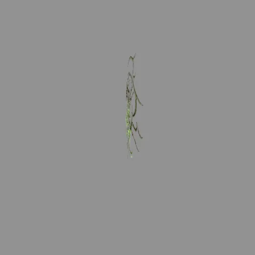 9tribal_1