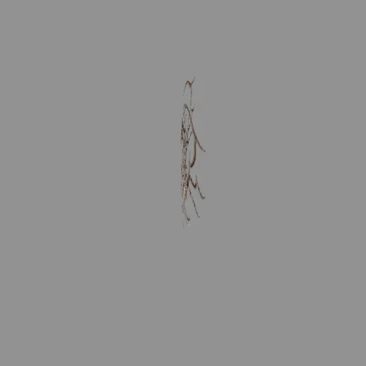 9tribal_3
