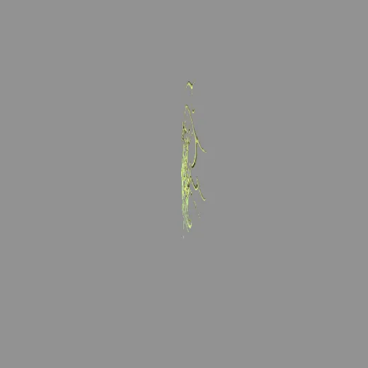 9tribal_4
