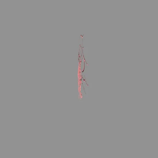 9tribal_5