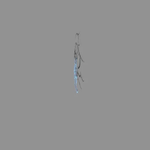 9tribal_6