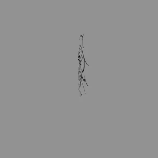 9tribal_7