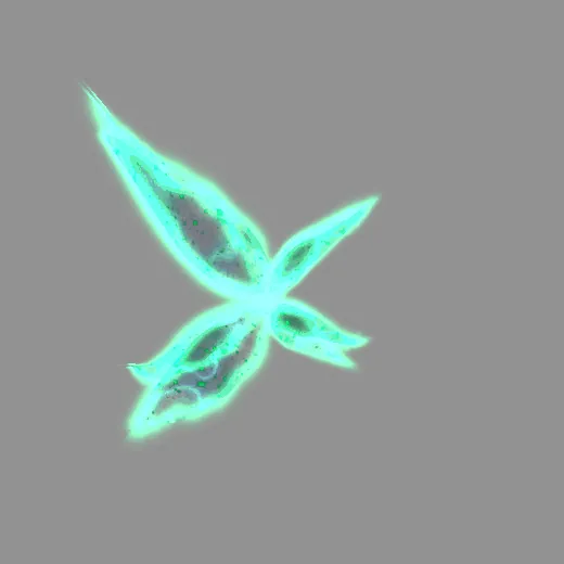 eternal_fantasy_wings