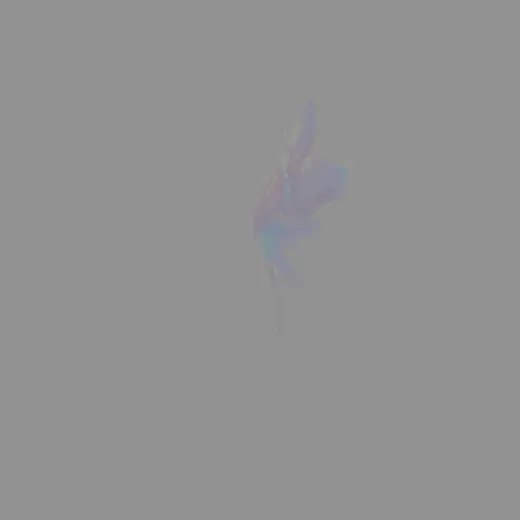 fairy_wings