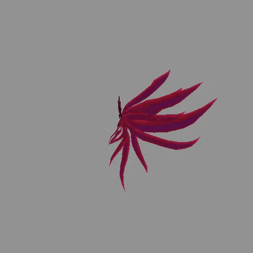 ivan_wing_ivan_6