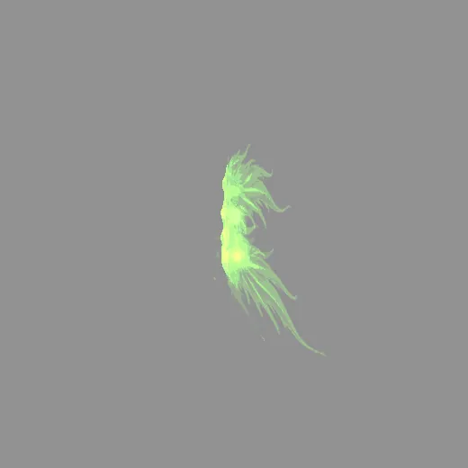 magic_poison_wings_1
