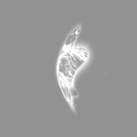 plechito_plechito_astral_wings_astral_black