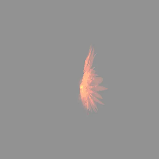 ridack_7wingcolors_ridack_redwing