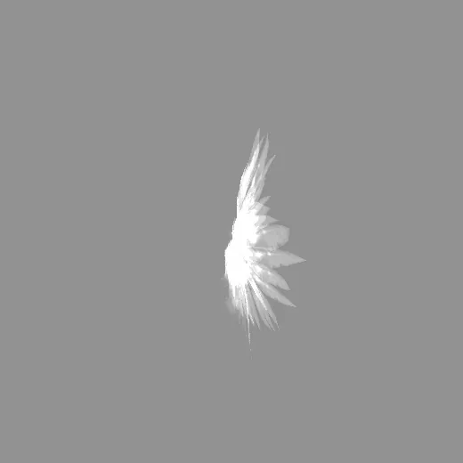 ridack_7wingcolors_ridack_whitewing