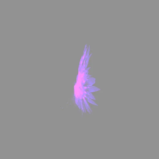 ridack_7wingcolors_ridack_wingpurple