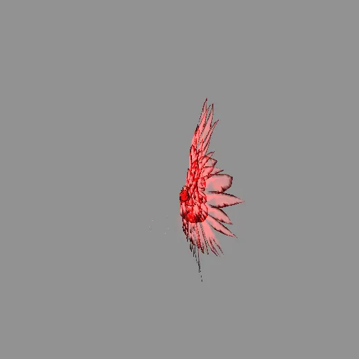 ridack_7wingcolors_ridack_wingred