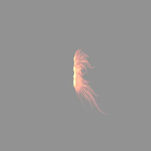 ridack_firewing