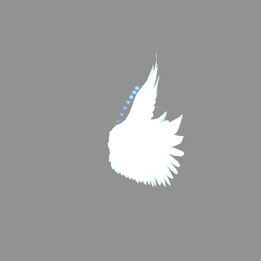 ridack_skywing