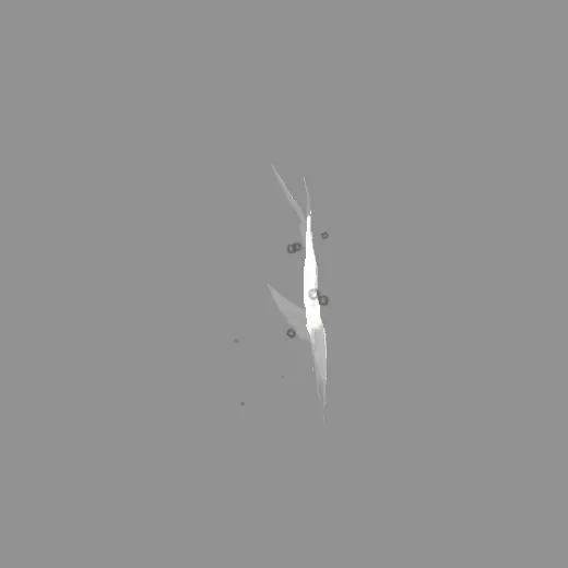 ridack_wingblack
