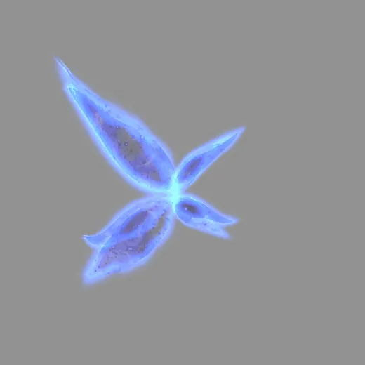 tsunami_fantasy_wings