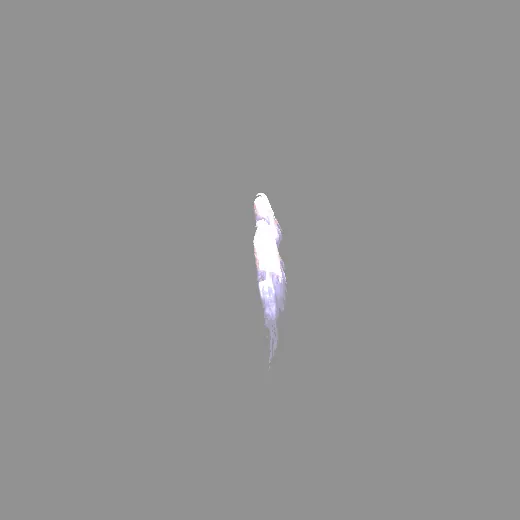 wing_dark_1_1