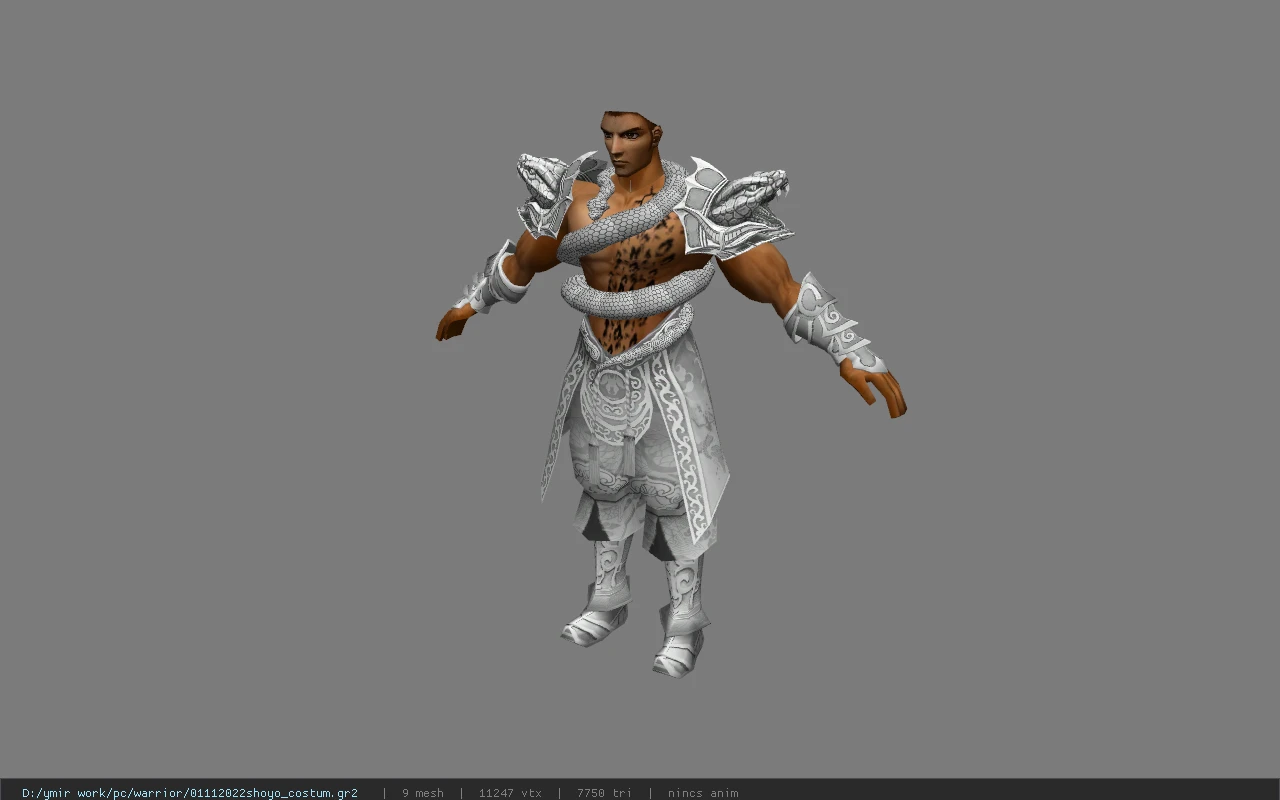 01112022shoyo_costum