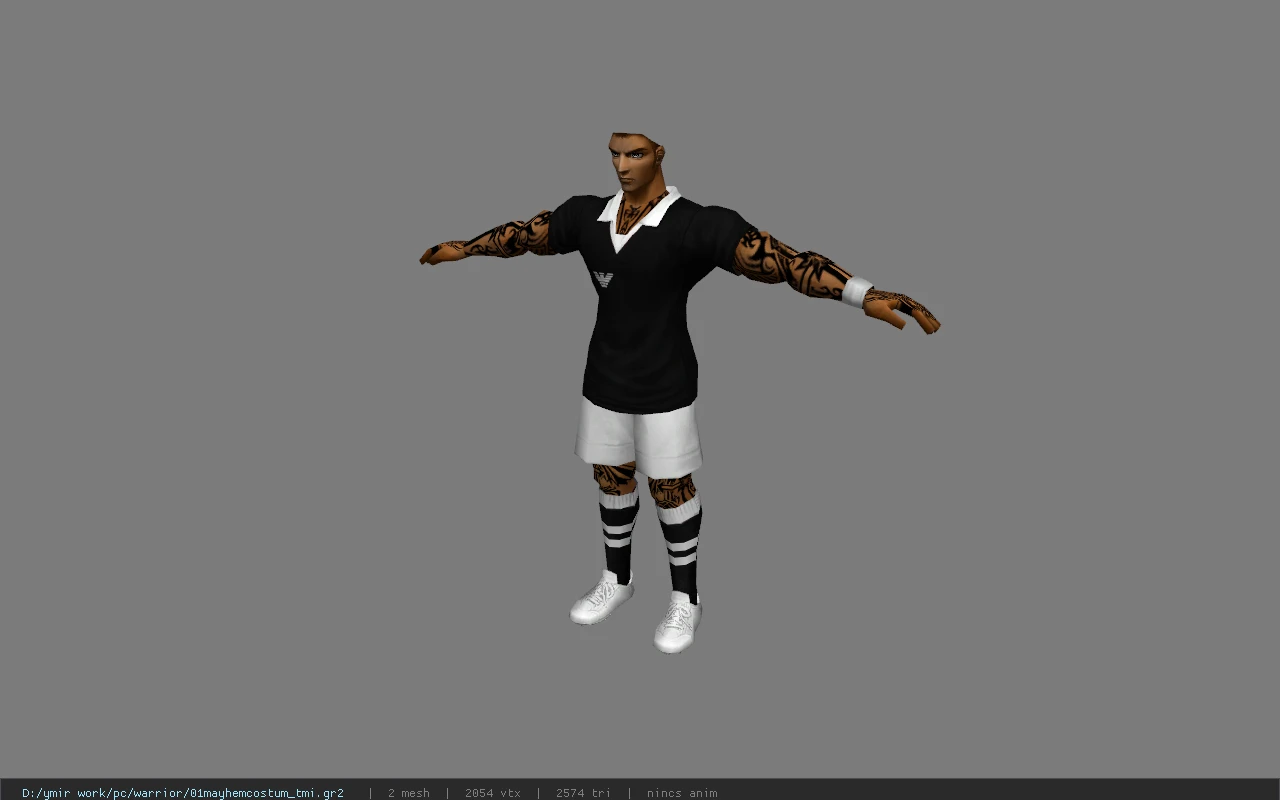 01mayhemcostum_tmi