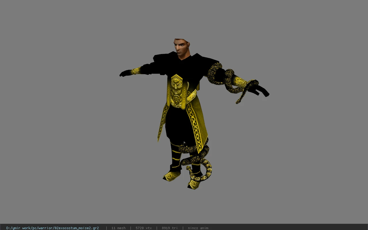 02exocostum_moise2