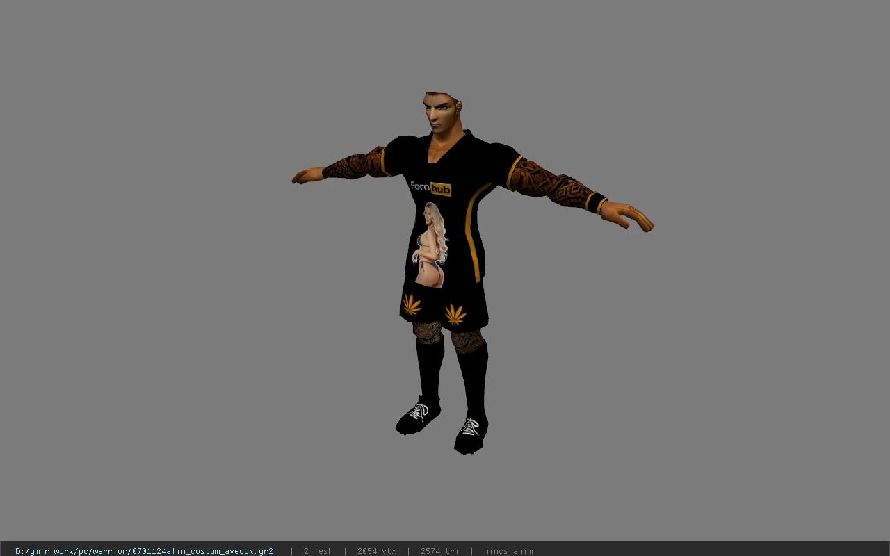 0701124alin_costum_avecox