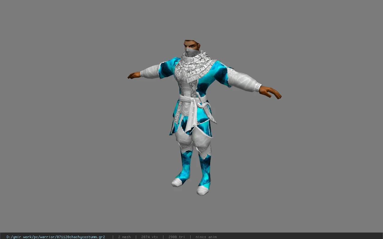 071120chachycostumm