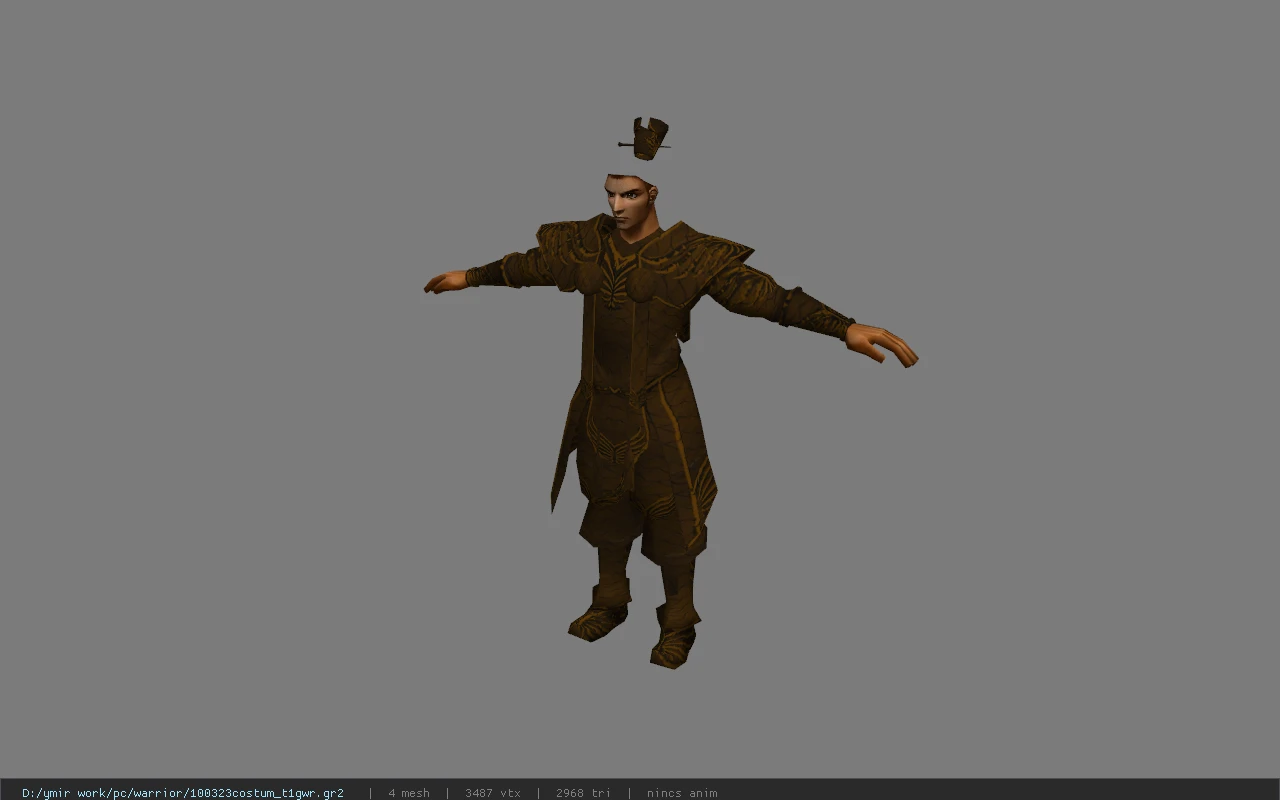 100323costum_t1gwr