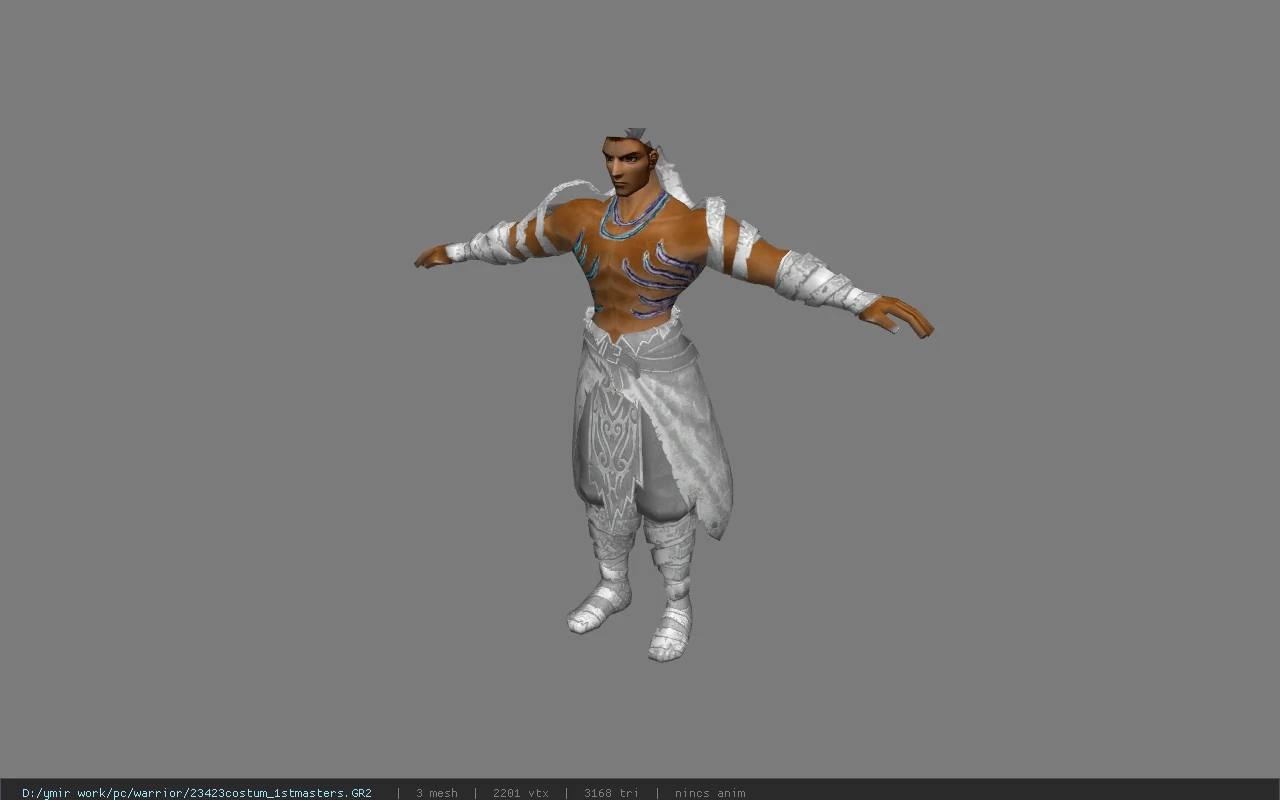 23423costum_1stmasters