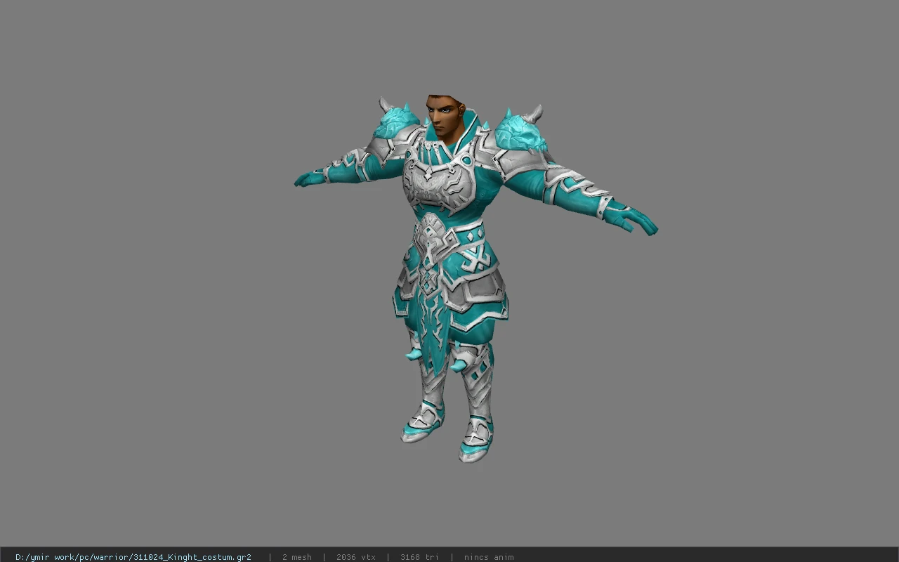 311024_Kinght_costum