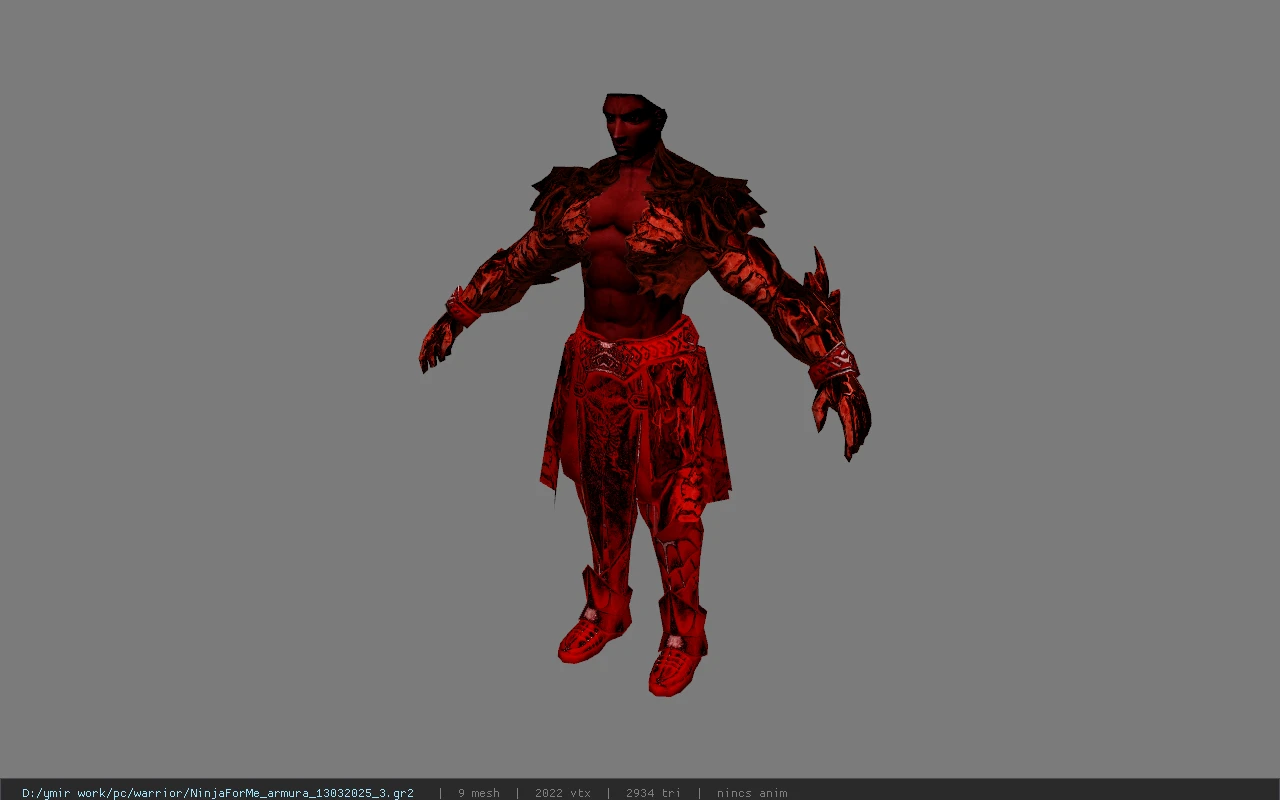 NinjaForMe_armura_13032025_3