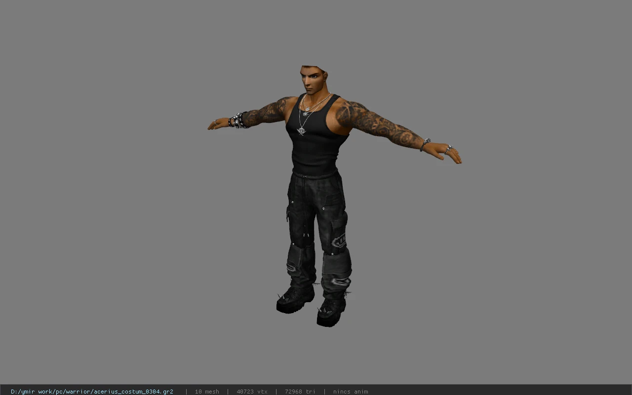 acerius_costum_0304
