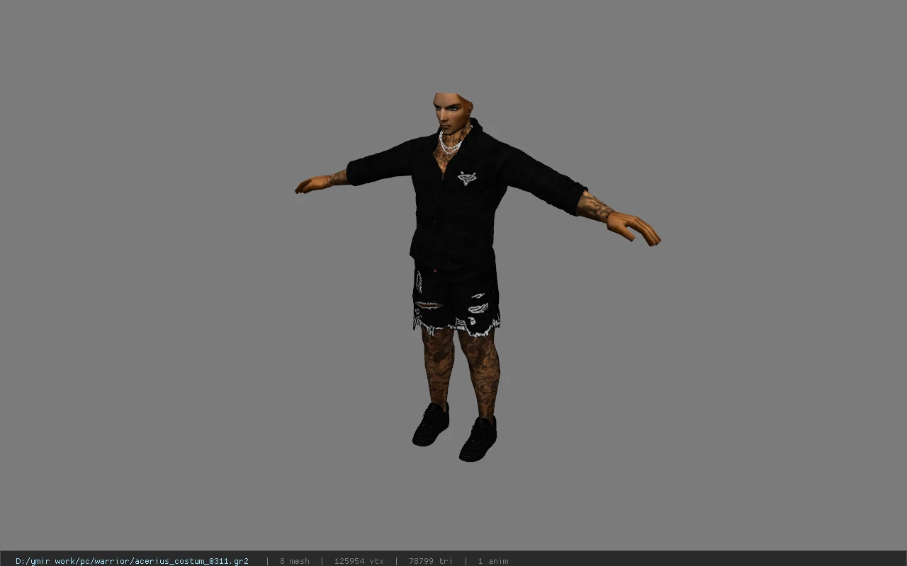 acerius_costum_0311