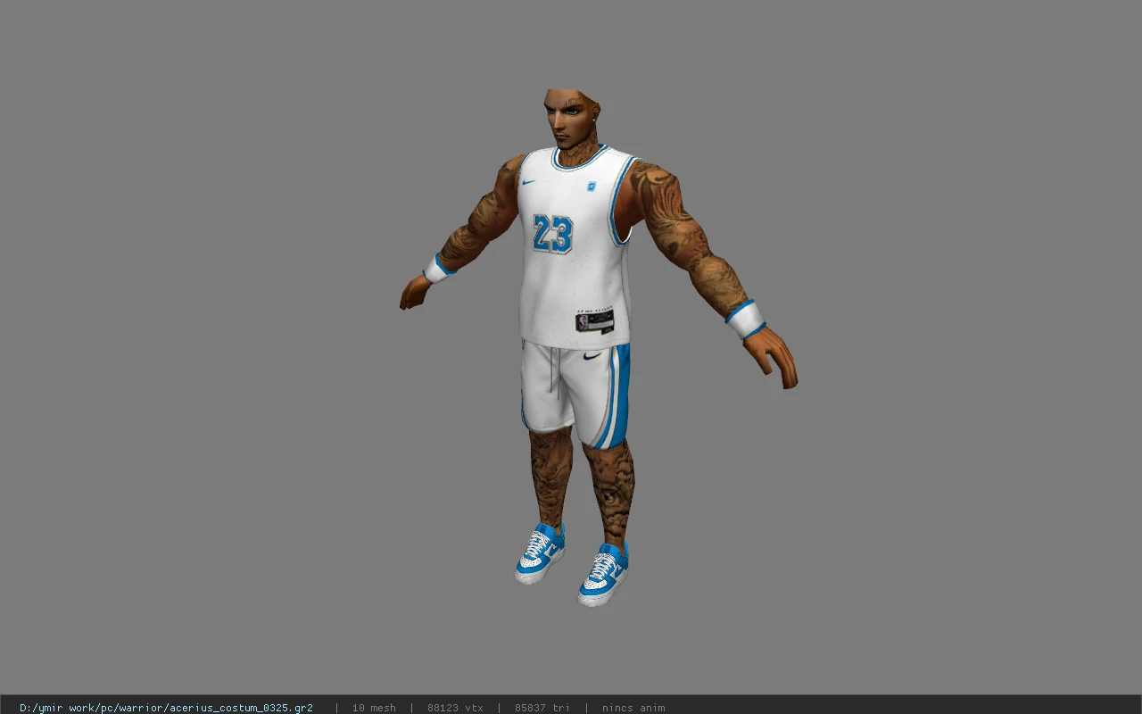 acerius_costum_0325