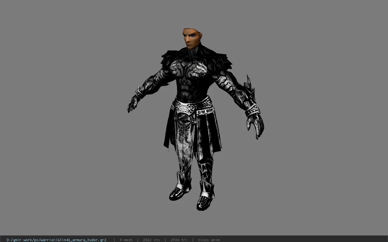alin41_armura_tudor