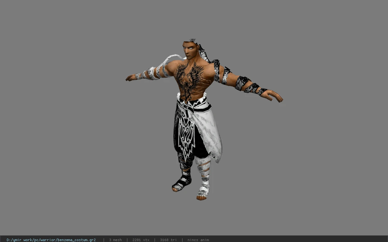 benzema_costum