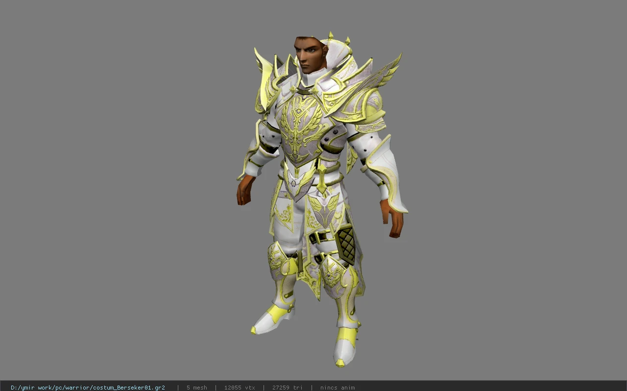 costum_Berseker01