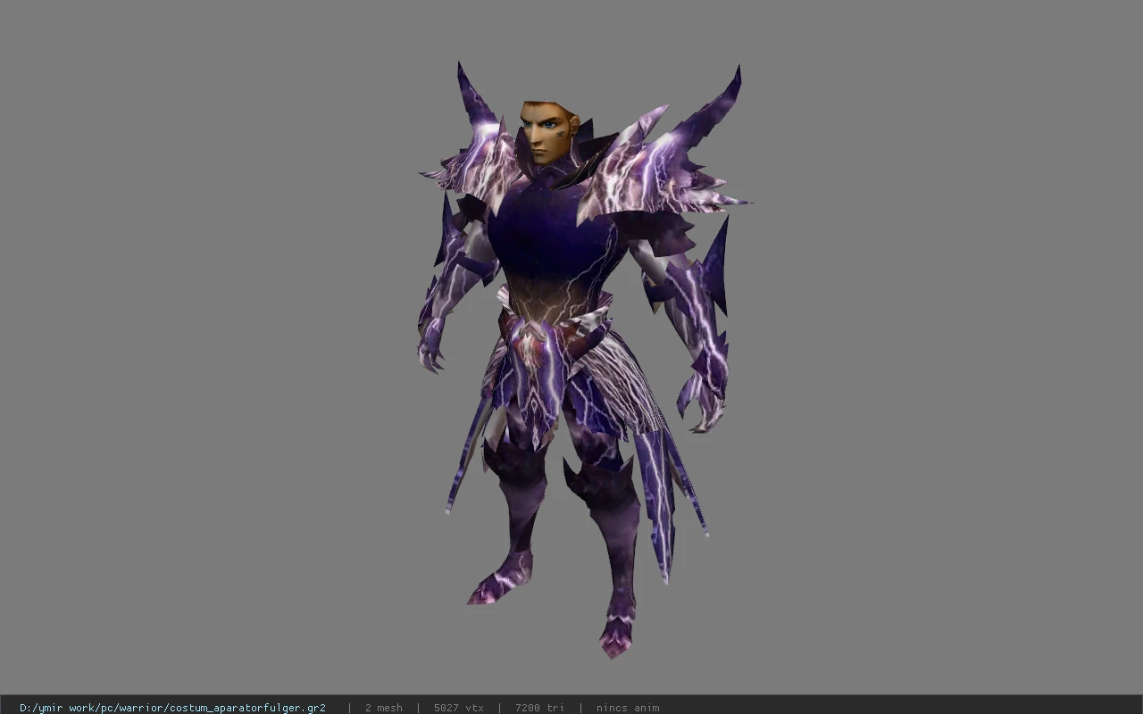costum_aparatorfulger