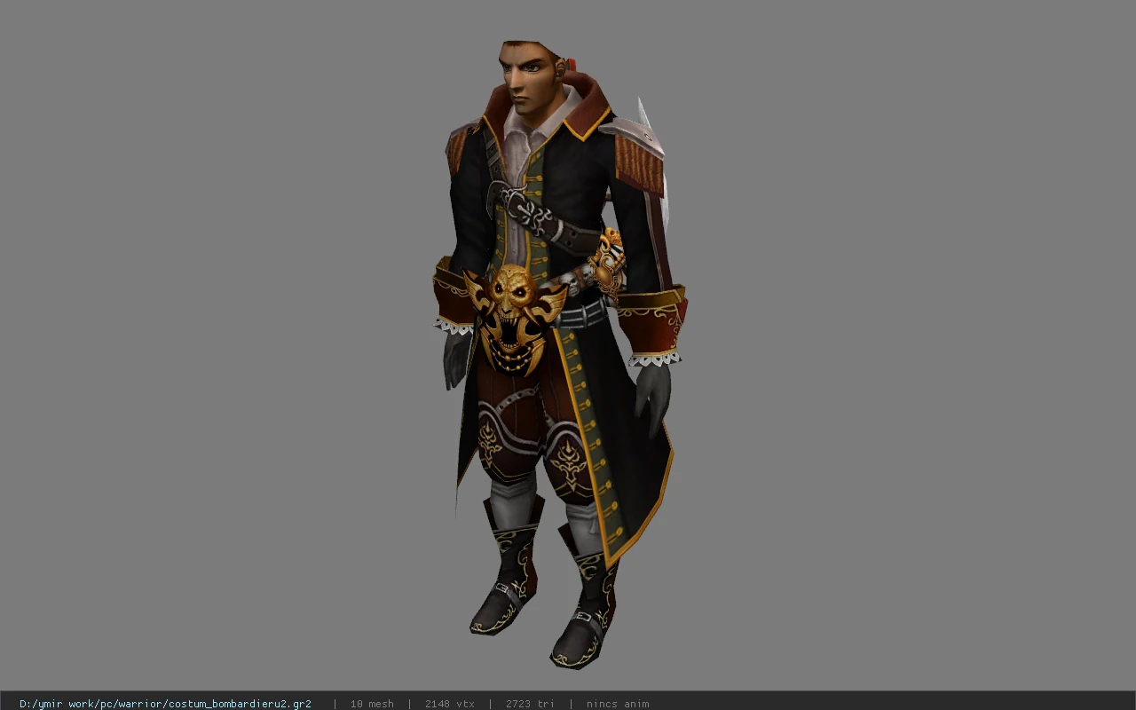 costum_bombardieru2