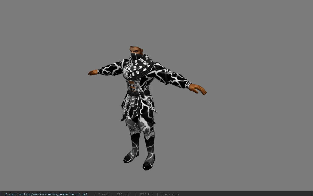 costum_bombardierul1